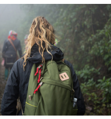 Topo Designs Daypack Classic Olive 