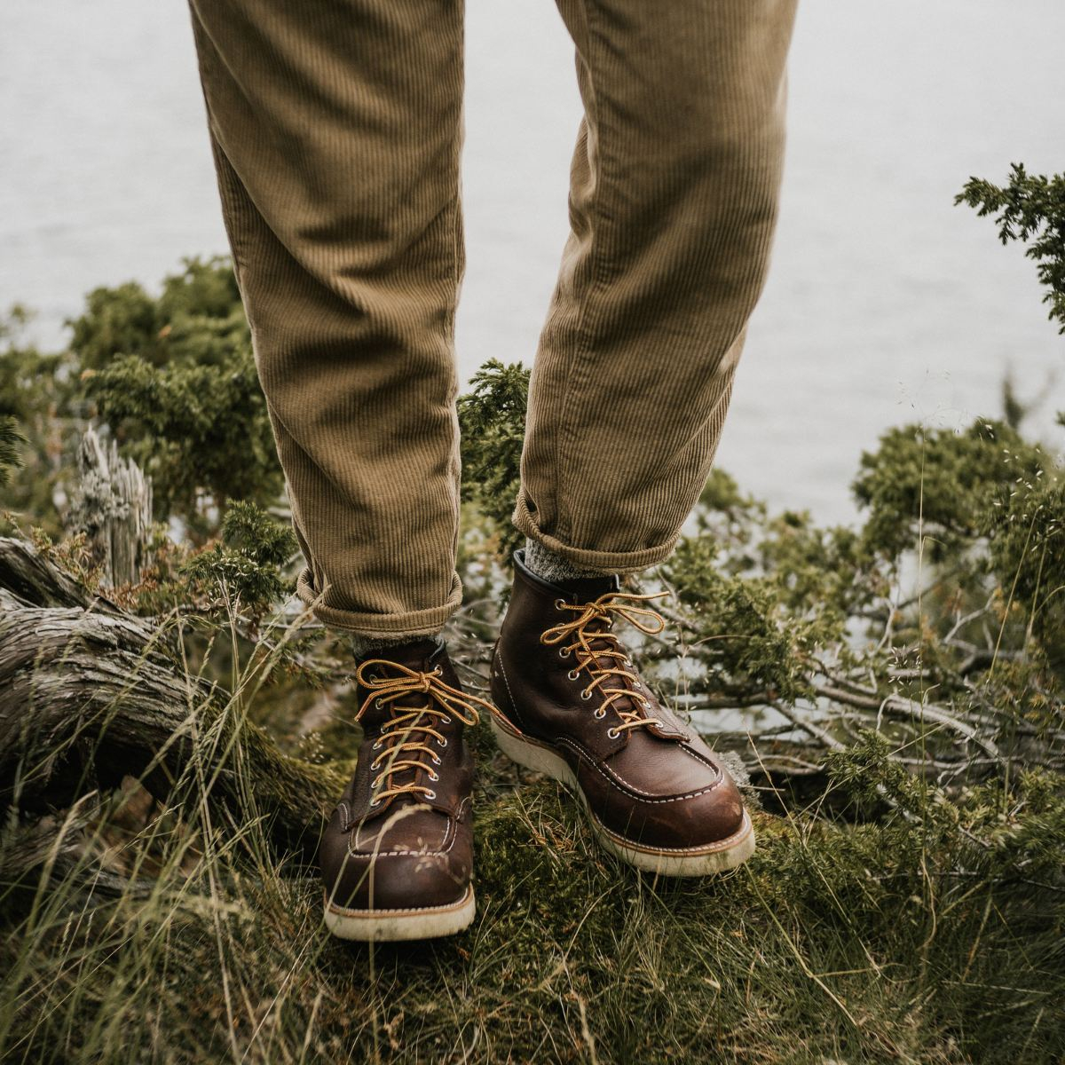 Red Wing 8138 Classic Moc Toe Boots Briar Oil Slick (Oil Tanned) 